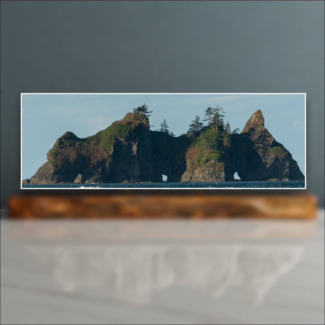 Shi Shi Beach Sculpture - Point of Arches