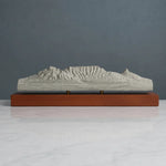 Table Mountain Sculpture (View from Bloubergstrand, South Africa) Sculpted Peaks