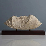 Mount Timpanogos Sculpture (North Face, Wasatch Range, Utah) Sculpted Peaks