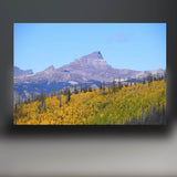 Uncompahgre Peak Sculpture (Colorado)