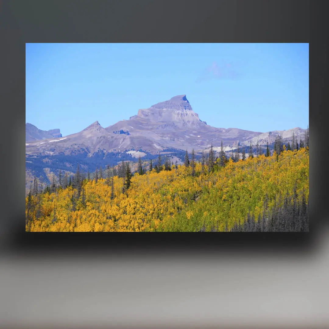 Uncompahgre Peak Sculpture (Colorado) Sculpted Peaks