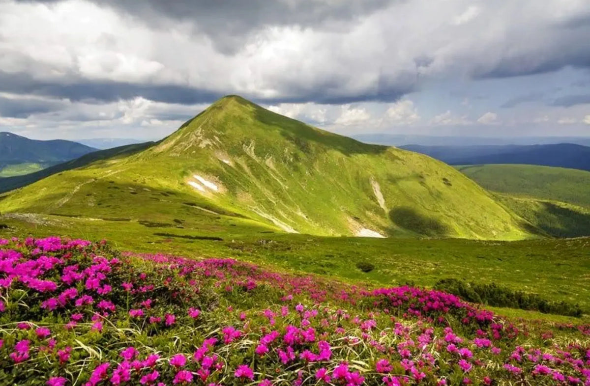 Mount Hoverla (Ukraine - Sample Sculpture) - SMPL 270 Sculpted Peaks