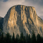 El Capitan (Meadow View, Yosemite National Park) Sculpted Peaks