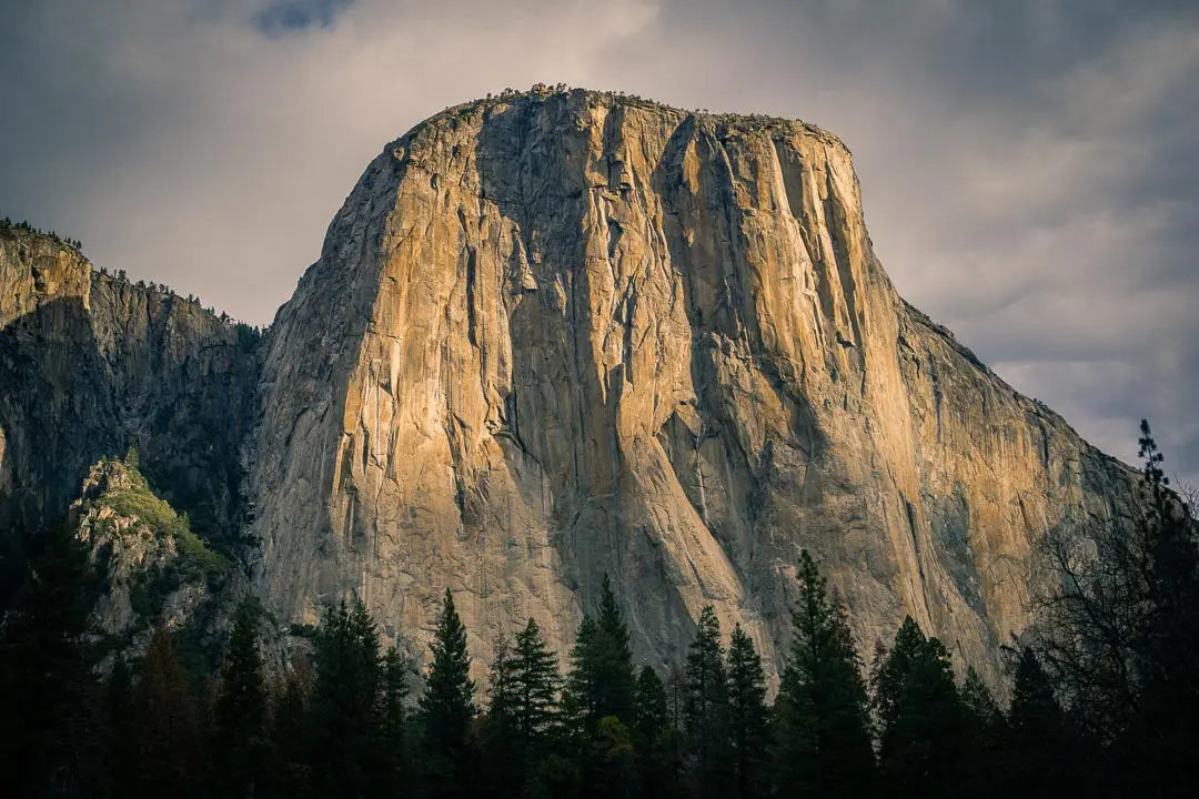 El Capitan (Meadow View, Yosemite National Park) Sculpted Peaks