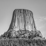 Devil's Tower- First Edition Sculpture