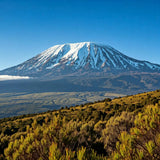 Kilimanjaro Sculpture Sculpted Peaks