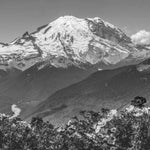 Mt. Rainier (View from Crystal Mountain)- First Edition Sculpture Sculpted Peaks
